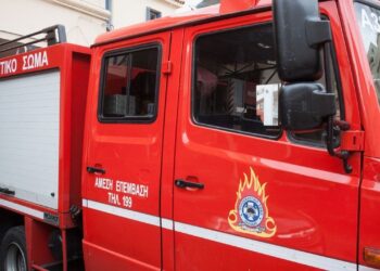 Στάχτη έγινε φορτηγό που κουβαλούσε ελιές στην Λαμία