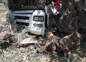Σκοτώθηκε οδηγός φορτηγού μετά από σύγκρουση με ελιά