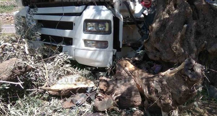 Σκοτώθηκε οδηγός φορτηγού μετά από σύγκρουση με ελιά