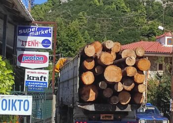 Μεταφορές ξυλείας: Στα βαριά, τα δύσκολα, οι αυτοκινητιστές είναι οι …μάγοι που έχουν τη λύση