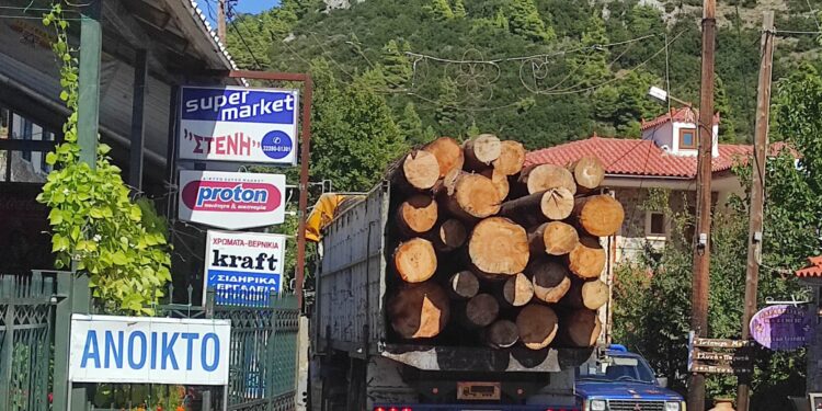 Μεταφορές ξυλείας: Στα βαριά, τα δύσκολα, οι αυτοκινητιστές είναι οι …μάγοι που έχουν τη λύση