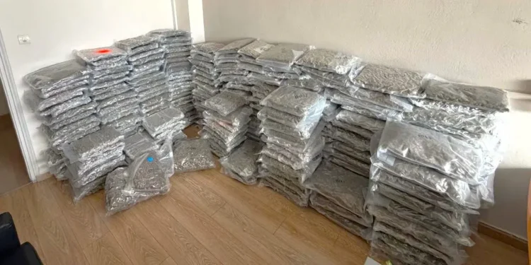 Συνελήφθη 36χρονος Επαγγελματίας οδηγός, ο οποίος  μετέφερε πάνω από 300 κιλά κάνναβης (+video)